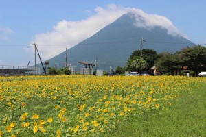 指宿市 山川　西大山駅