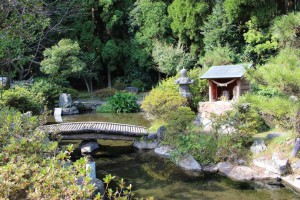 鹿児島市郡山町　甲突池