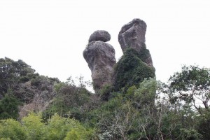 【南さつま市】内山田立神：加世田の森の中にそびえる一対の巨石