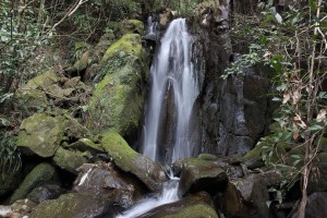 西之谷滝：冒険心を呼び起こさせられた滝