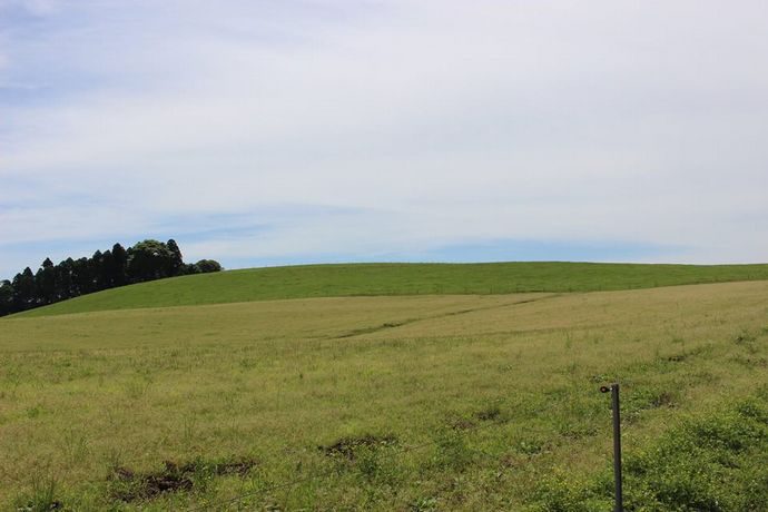 13241345_785411704926350_7691093607252291981_n