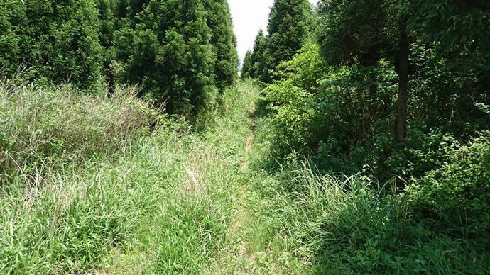 13260208_785411541593033_1099700395571466033_n