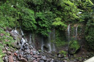 千滝：霧島神宮そばにある地下水の滝