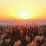 狐ヶ丘高原：行き方ガイド付き！西郷どんのロケでも使われた高原からみる景色【霧島市福山町】