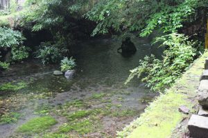 【霧島市】霧島七不思議伝説に触れよう！亀石・風穴・御手洗川を訪ねて