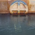 殿様湯：飲んでも美味しい　今に残る島津家御用達だった名湯　@指宿