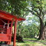 大汝牟遅神社と千本楠：子授けや願掛け、多く古木に恵まれた神秘的な場所【日置市吹上町】
