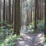 【南九州市頴娃町】真田幸村の墓（伝）：頴娃に伝わる豊臣秀頼との薩摩落ち伝説