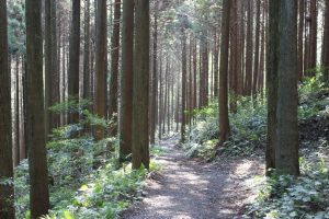 【南九州市頴娃町】真田幸村の墓（伝）：頴娃に伝わる豊臣秀頼との薩摩落ち伝説