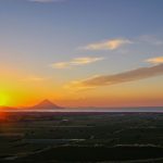 【枕崎市】中原公園:南九州の広大な茶畑を堪能できるスポット