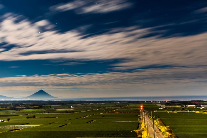 鹿児島の夜の茶畑は幻想的