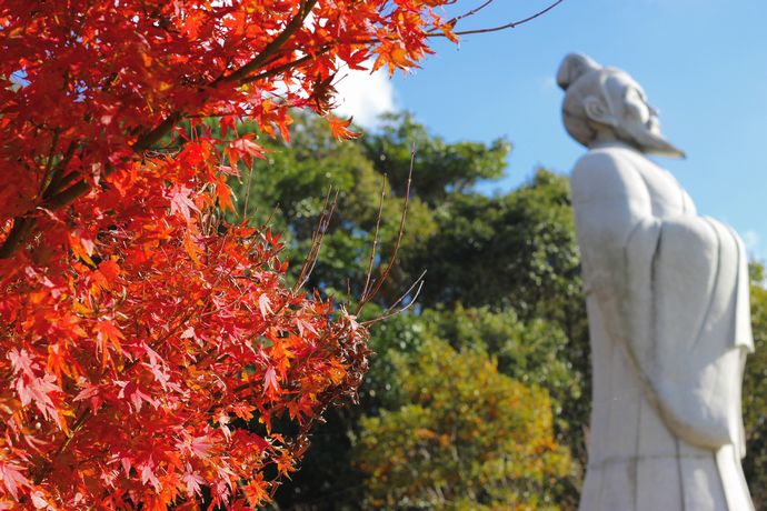 いちき串木野市 冠岳の紅葉を楽しむ