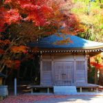 【いちき串木野市】冠岳の紅葉を楽しむ