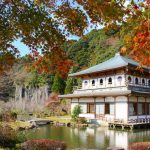 【南九州市川辺町】岩屋公園の紅葉