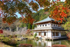 【南九州市川辺町】岩屋公園の紅葉