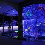 ドルフィンポートクリスマスイルミネーションへ