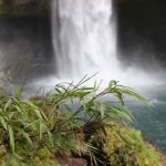 【霧島市】犬飼の滝：坂本龍馬も訪れた「新かごしま百景」第一位の滝