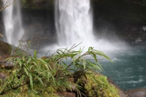 【霧島市】犬飼の滝：坂本龍馬も訪れた「新かごしま百景」第一位の滝