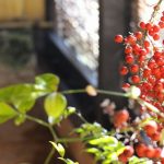 忘れの里 雅叙苑　日帰り温泉：ランチと一緒に楽しむ高級旅館の贅沢時間