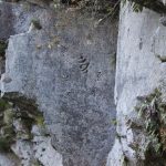 【姶良市蒲生町】竜ケ城磨崖梵字:司馬遼太郎も訪れた蒲生にある日本最多の磨崖梵字