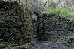 【鹿児島市吉野町】寺山炭窯跡：日本の産業革命を支えた燃料生産場