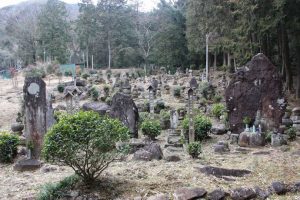 【湧水町】般若寺：鹿児島茶発祥の地の伝承と当時のお茶が群生する場所