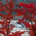 【伊佐市】曽木の滝：東洋のナイアガラと紅葉を楽しむ