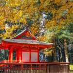 【伊佐市】郡山八幡神社：最古の「焼酎」の文字が発見された国指定重要文化財