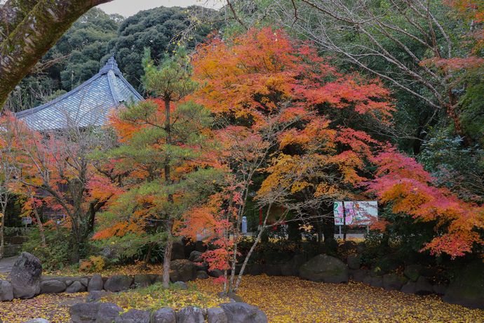 志布志の宝満寺寺