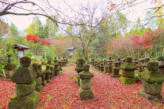 道隆寺跡