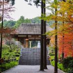 【指宿市】不動山青隆寺：日本人として心が落ち着く空気がここにある！