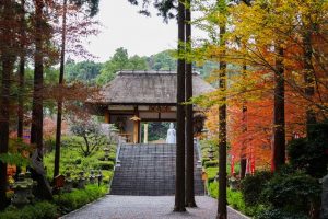 【指宿市】不動山青隆寺:日本人として心が落ち着く空気がここにある!