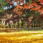 徳重神社（旧妙円寺跡）：島津義弘公の菩提寺であると旧跡をたどって【日置市】