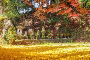 徳重神社（旧妙円寺跡）：島津義弘公の菩提寺であると旧跡をたどって【日置市】