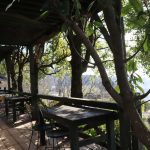 【日置市】ふきのとう（風木野陶）：日吉の山の中に佇む小さなレストラン