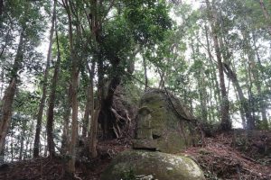 【鹿児島市】山の中の田の神さぁ：旧松元町入佐の史跡巡り　その１