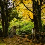 鹿児島市吉田麓の史跡へ！春と秋の散策