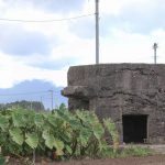 【南九州市頴娃町】青戸飛行場跡：幻となった補助飛行場跡には竹筋製のトーチカが残っている！