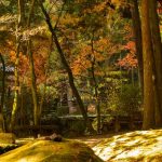 慈眼寺公園(慈眼寺跡):飛鳥時代に創建され初代薩摩藩主の菩提寺にもなった薩摩三名刹のひとつ