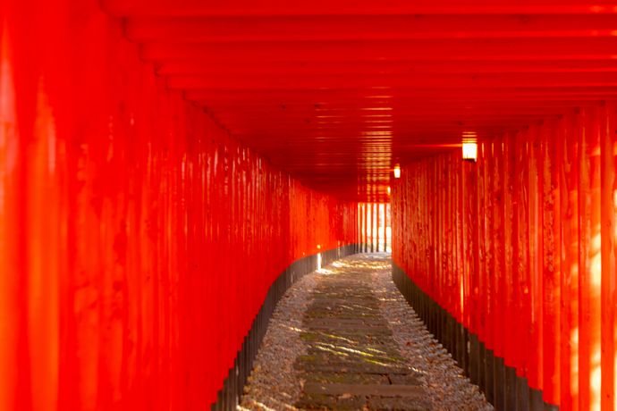 鹿屋の千本鳥居