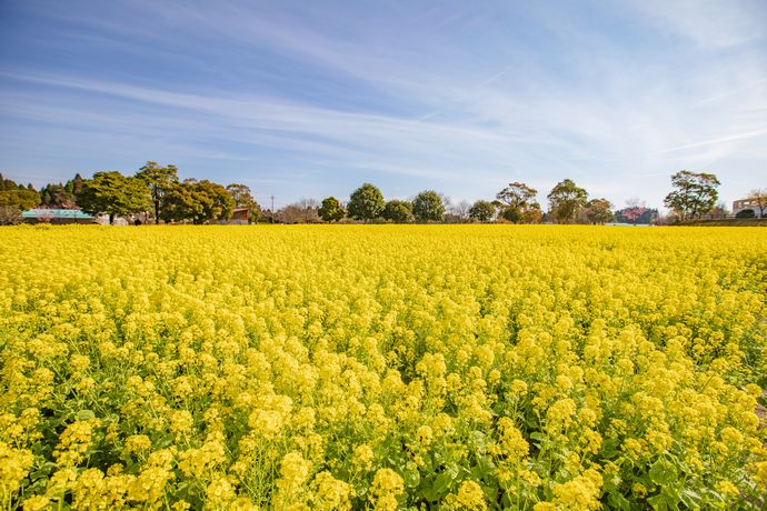 鹿児島市都市農業センター
