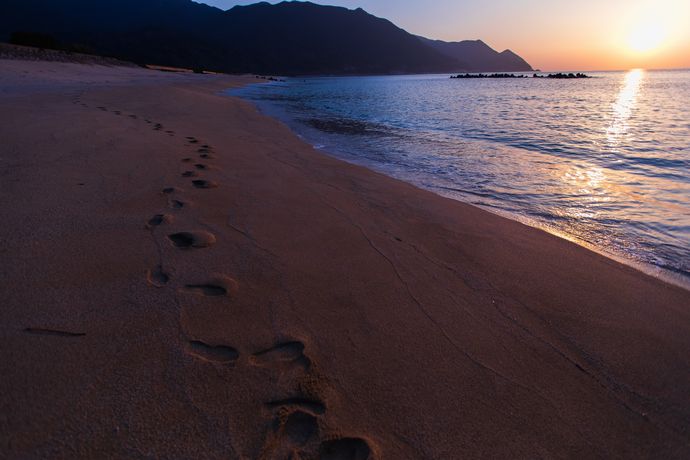 早朝の岸良海岸を散歩