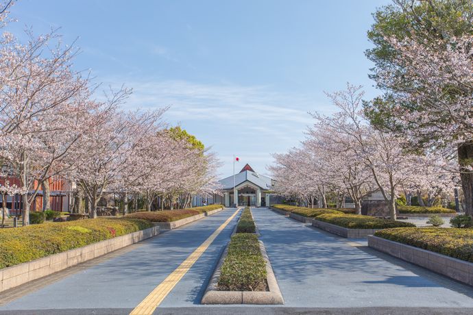 春こそ知覧特攻平和会館の桜とその情景を見るべし