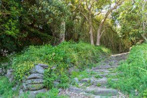 長島にある堂崎城跡に残る石段