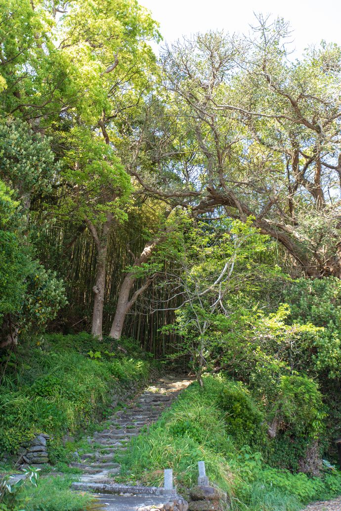 長島の堂崎城跡