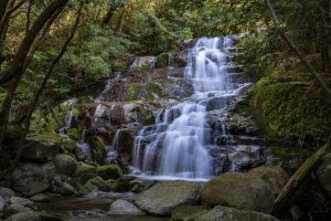 清純の滝：肝付町の森の中にある観光地化されていない滝へ