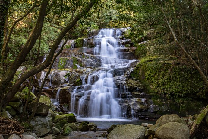大隅の秘境 清純の滝