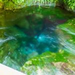 大出水の湧水:毎分22トン!驚異的な水量を誇る森の中にある大自然の恵み【霧島市】