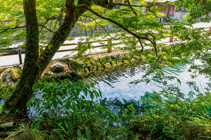 竹中池と筒羽野疎水：そうめん流しやプールで有名な湧水と