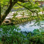 竹中池と筒羽野疎水：そうめん流しやプールで有名な湧水と水辺の風景【湧水町】